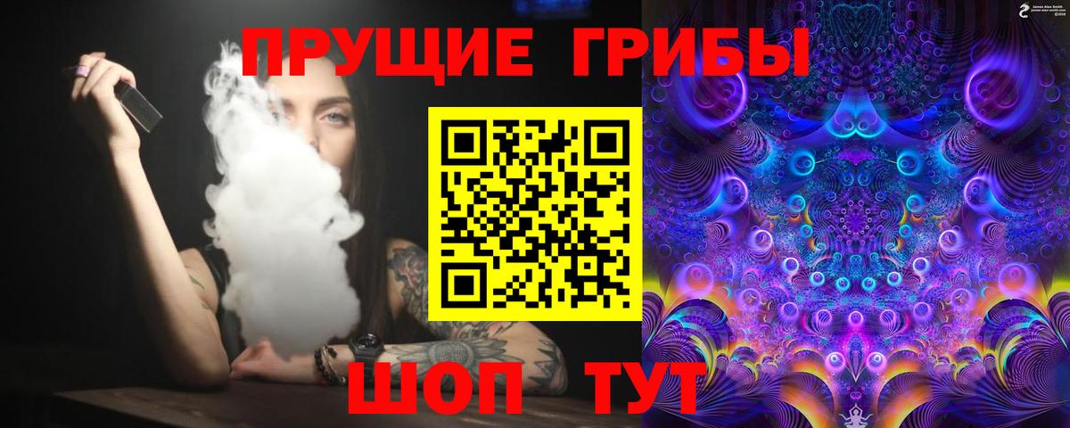 дарнет шоп  Вход с VPN  Глазов  Псилоцибиновые грибы Magic Shrooms  Псилоцибиновые грибы ЛСД 