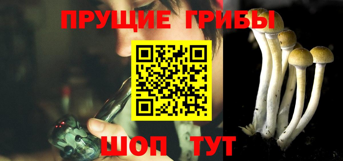 Псилоцибиновые грибы Cubensis Глазов